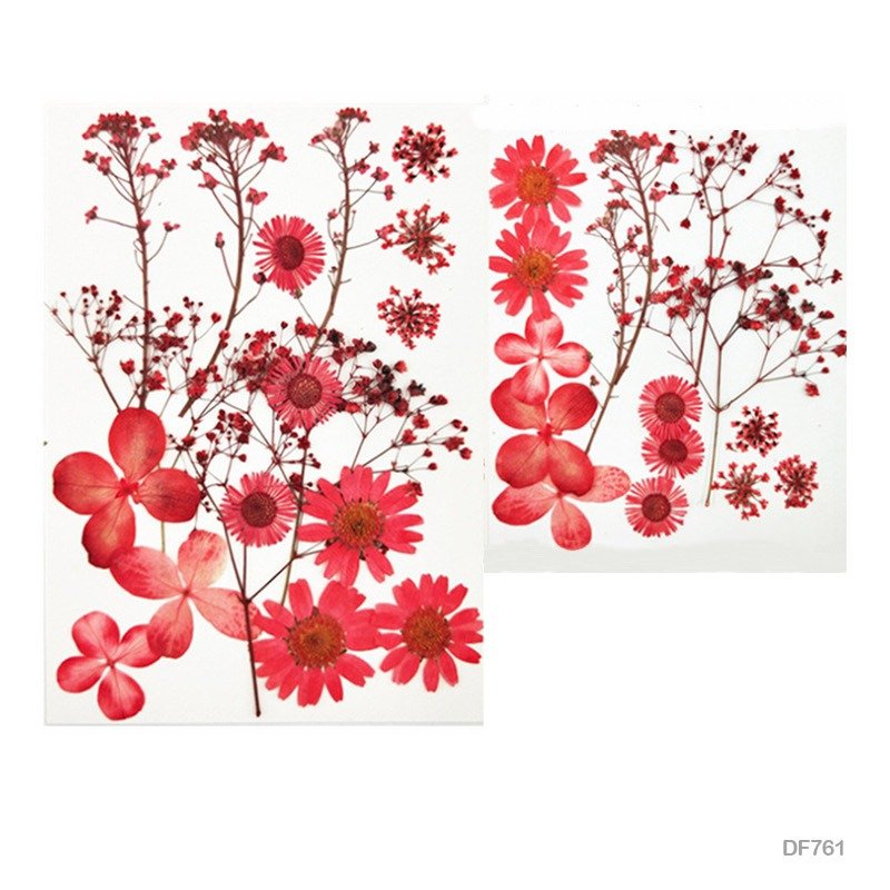 Dry Flower Sheet - DF761