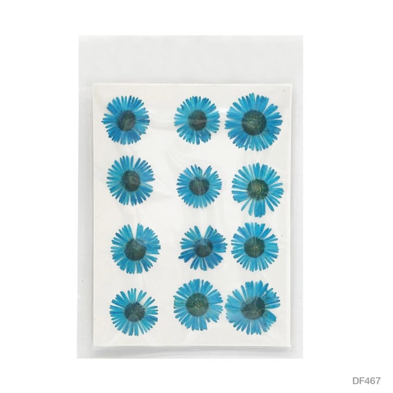 Dry Flower Sheet DF467