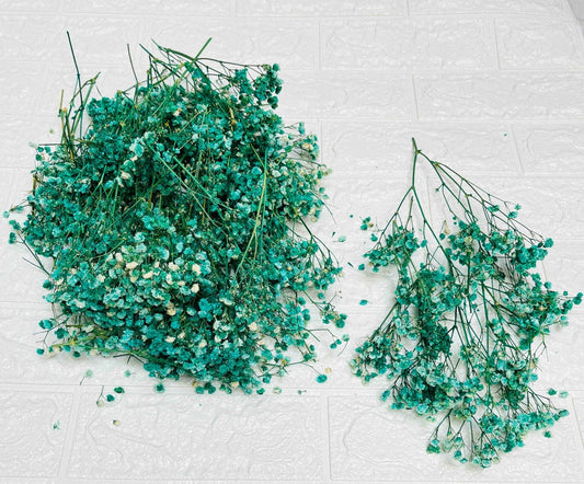 Baby Breath (Sea Green)