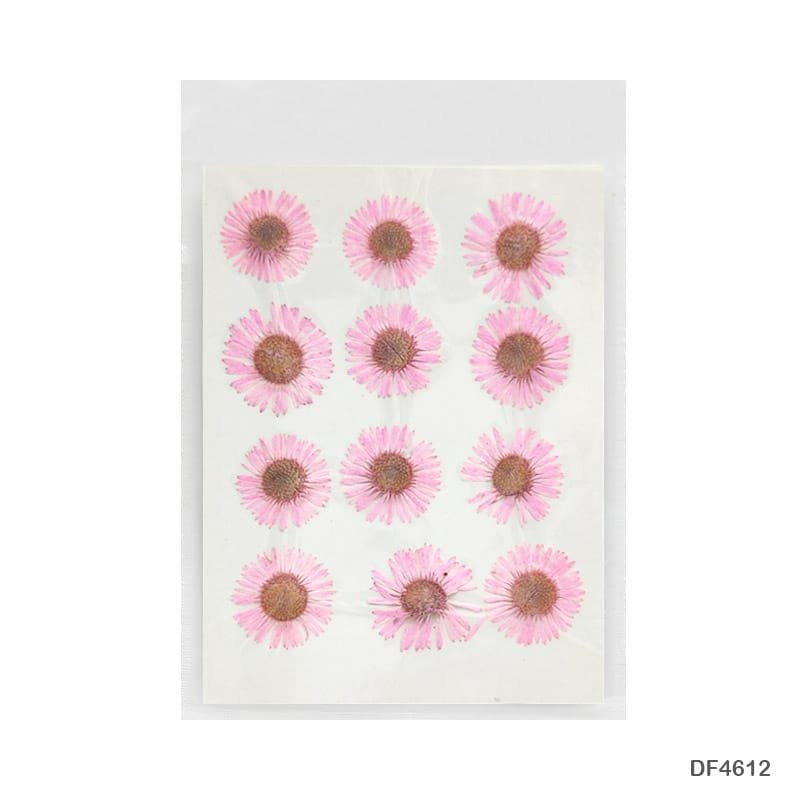 Dry Flower Sheet DF4612