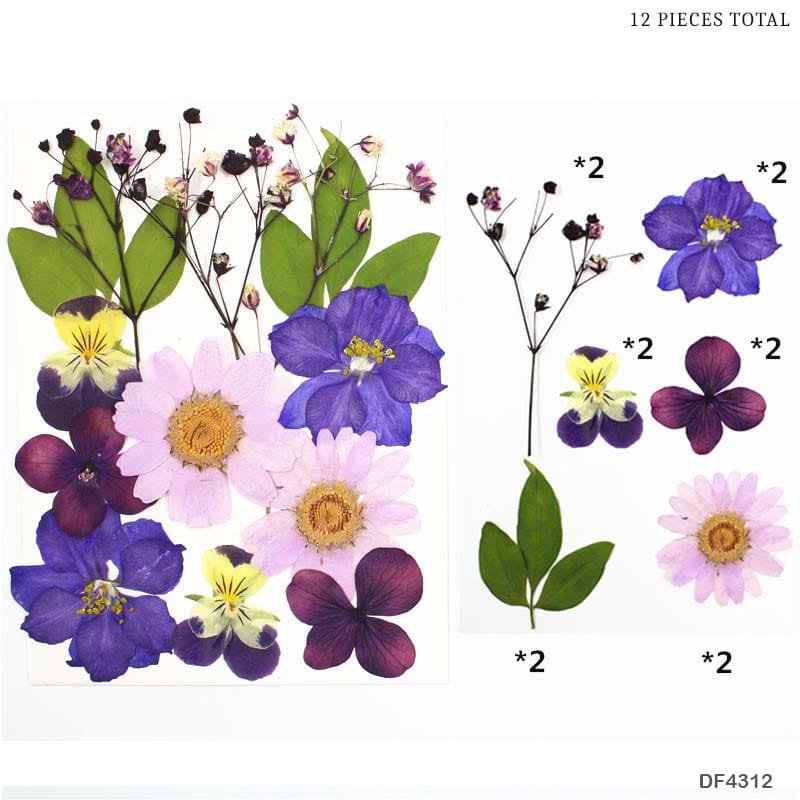 Dried Flower Sheet – (DF4312)