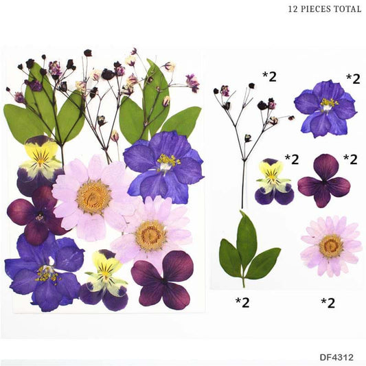 Dried Flower Sheet – (DF4312)