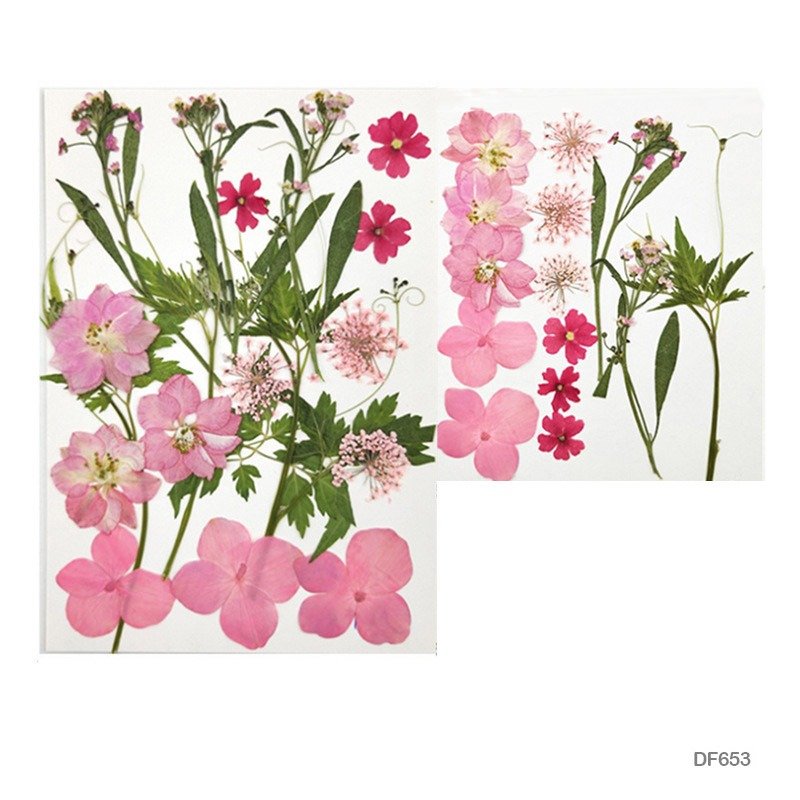 Dry Flower Sheet - DF653