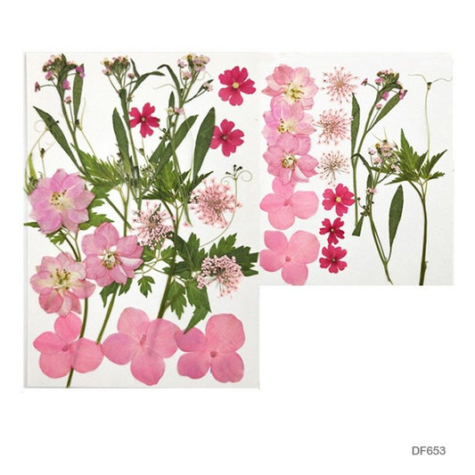 Dry Flower Sheet - DF653