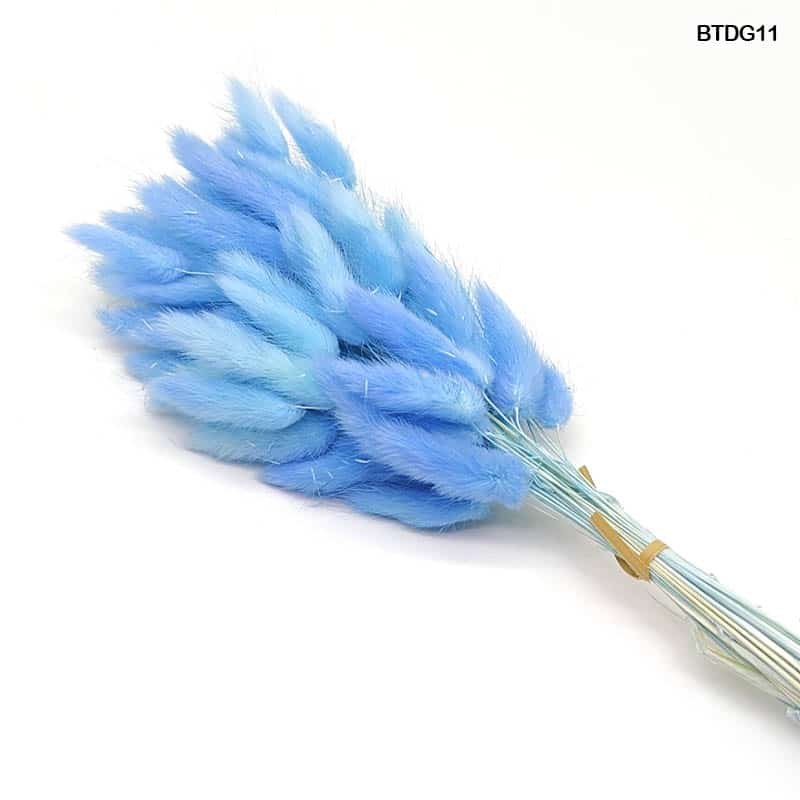 Bunny Tail (BTDG11)