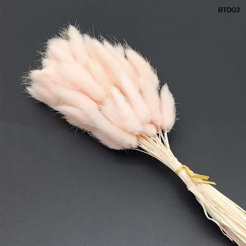 Bunny Tail - (BTDG2)