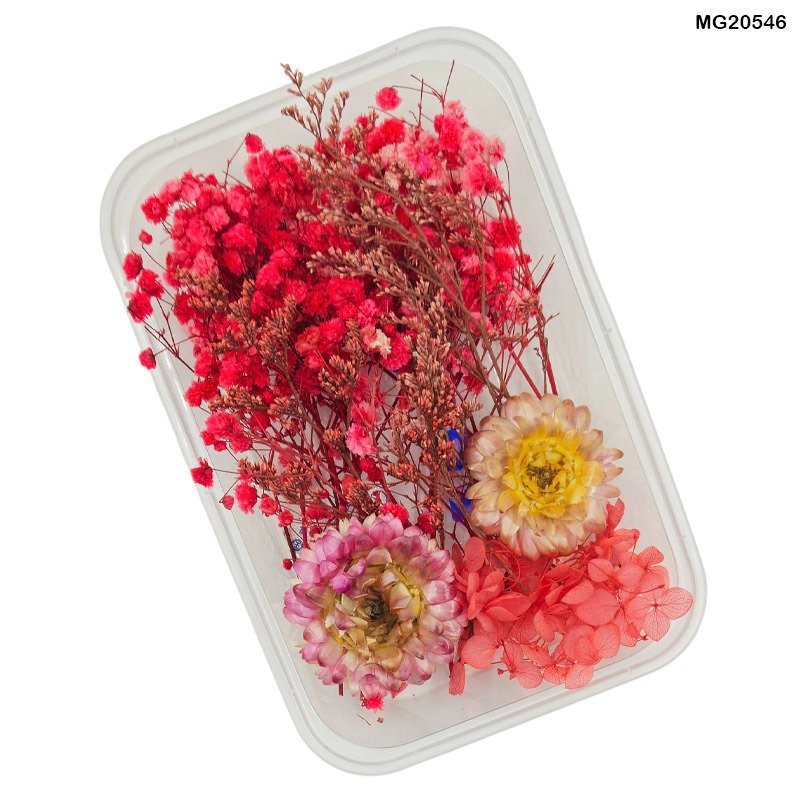 Dry Flower Box (MG20546)