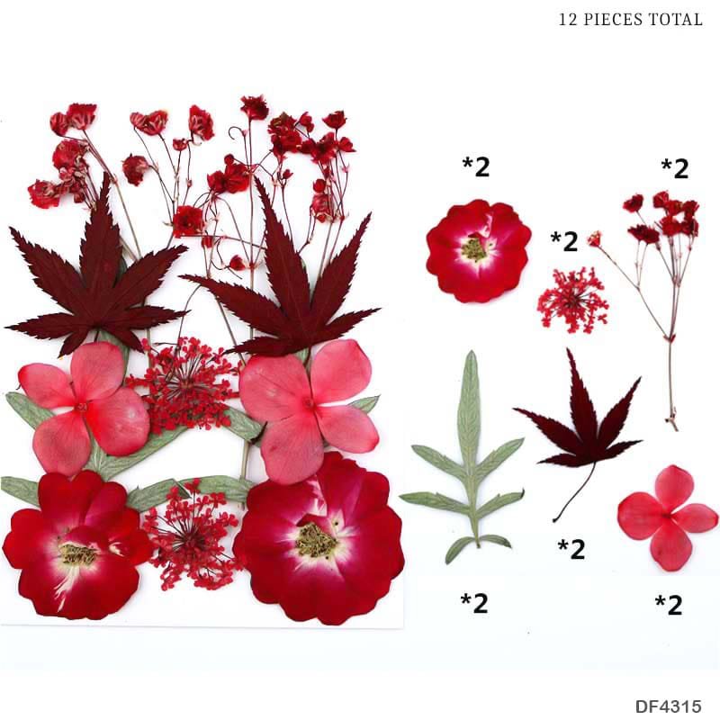 Dried Flower Sheet – (DF4315)
