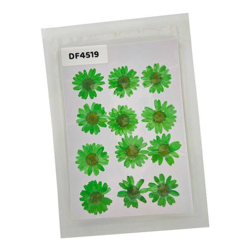 Dried Flower/Pressed Flower - DF4519
