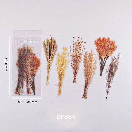 Dried Flower Sticker set