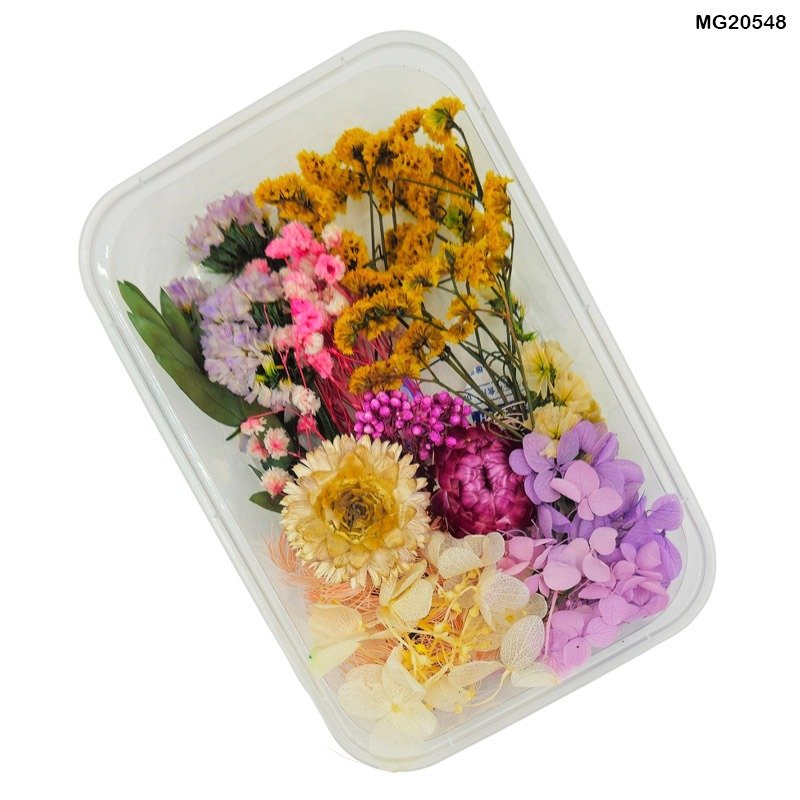Dry Flower Box (MG20548)