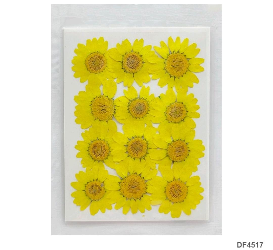 Dried Flower / Pressed Flower - RAWDFD