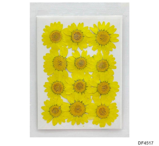 Dried Flower / Pressed Flower - RAWDFD