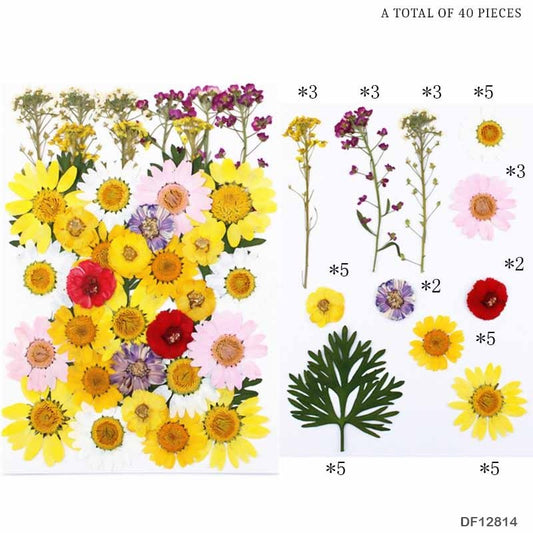 Dry Flower Sheet - DF12814