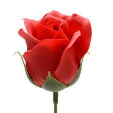 Scented Roses Yellow - 10pcs