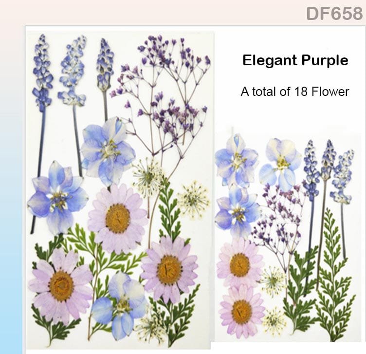 Dry Flower Sheet (DF658)