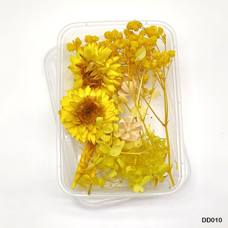 Dry Flower Box (DD010)- 1Box