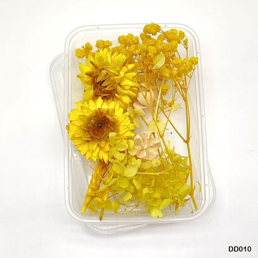 Dry Flower Box (DD010)- 1Box