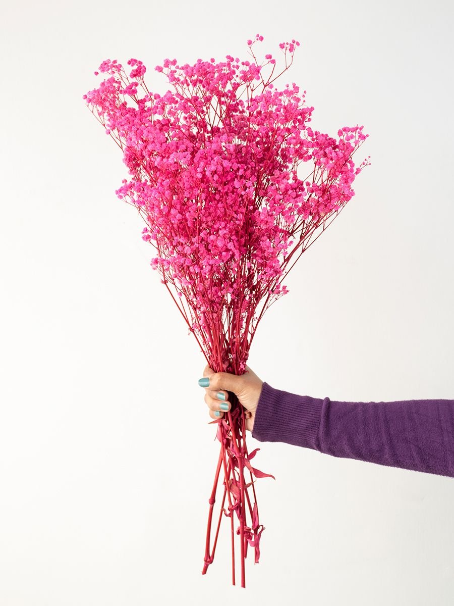Baby Breath (Dark Pink)