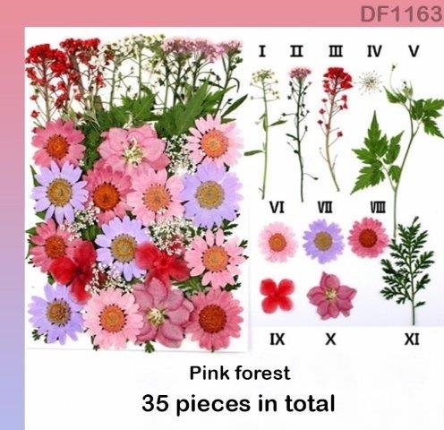 Dry Flower Sheet - DF1163