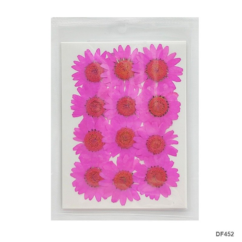 Dried Flower/Pressed Flower - DF452