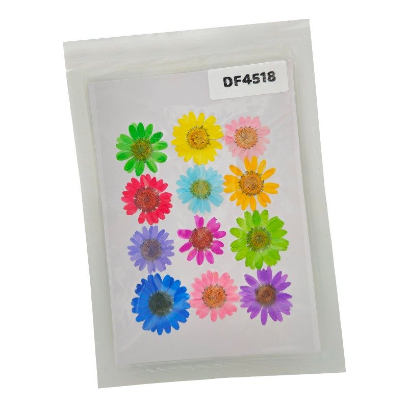 Dried Flower/Pressed Flower - RAWDFD