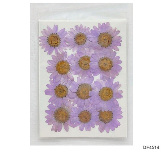 Dried Flower/Pressed Flower - DF4514