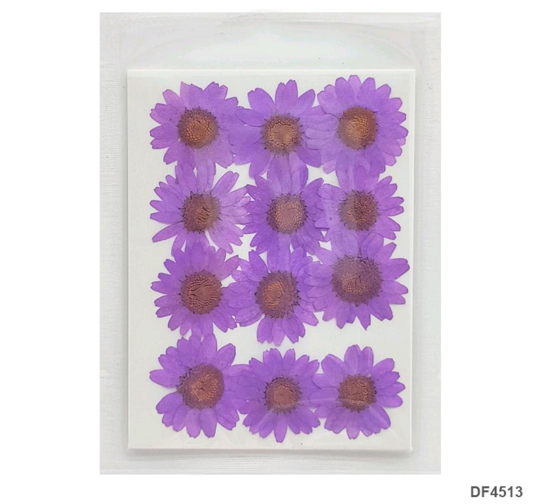 Dried Flower/Pressed Flower - DF4513