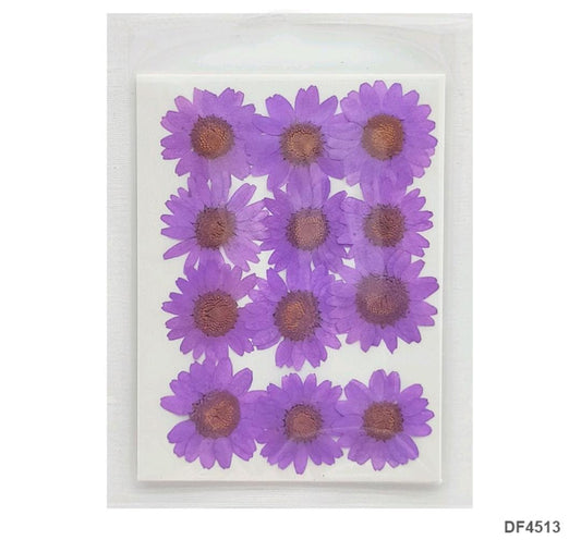 Dried Flower/Pressed Flower - DF4513