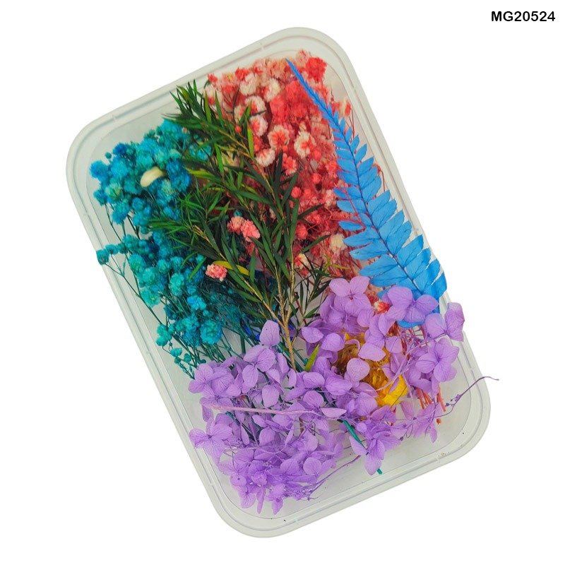 Dry Flower Box (MG20524)