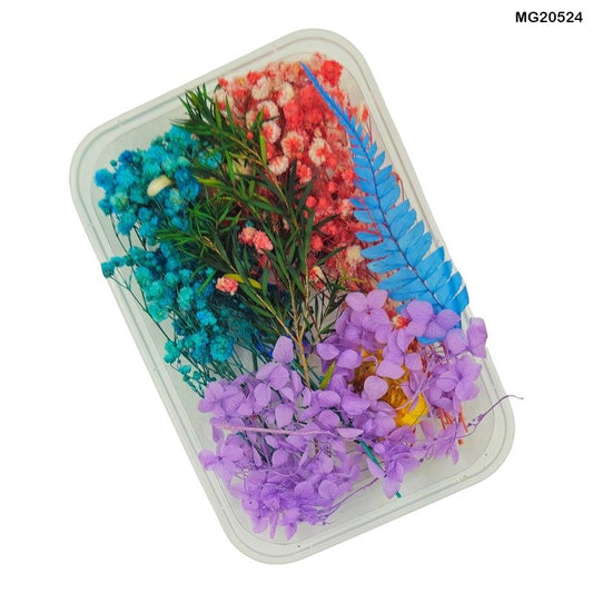 Dry Flower Box (MG20524)