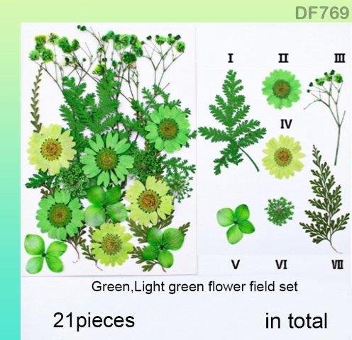 Dry Flower Sheet – DF769