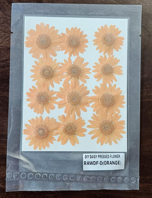 Dried Flower/Pressed Flower - RAWDFM
