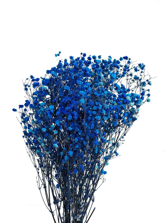 Baby Breath (Dark Blue)