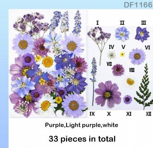 Dry Flower Sheet - DF1166