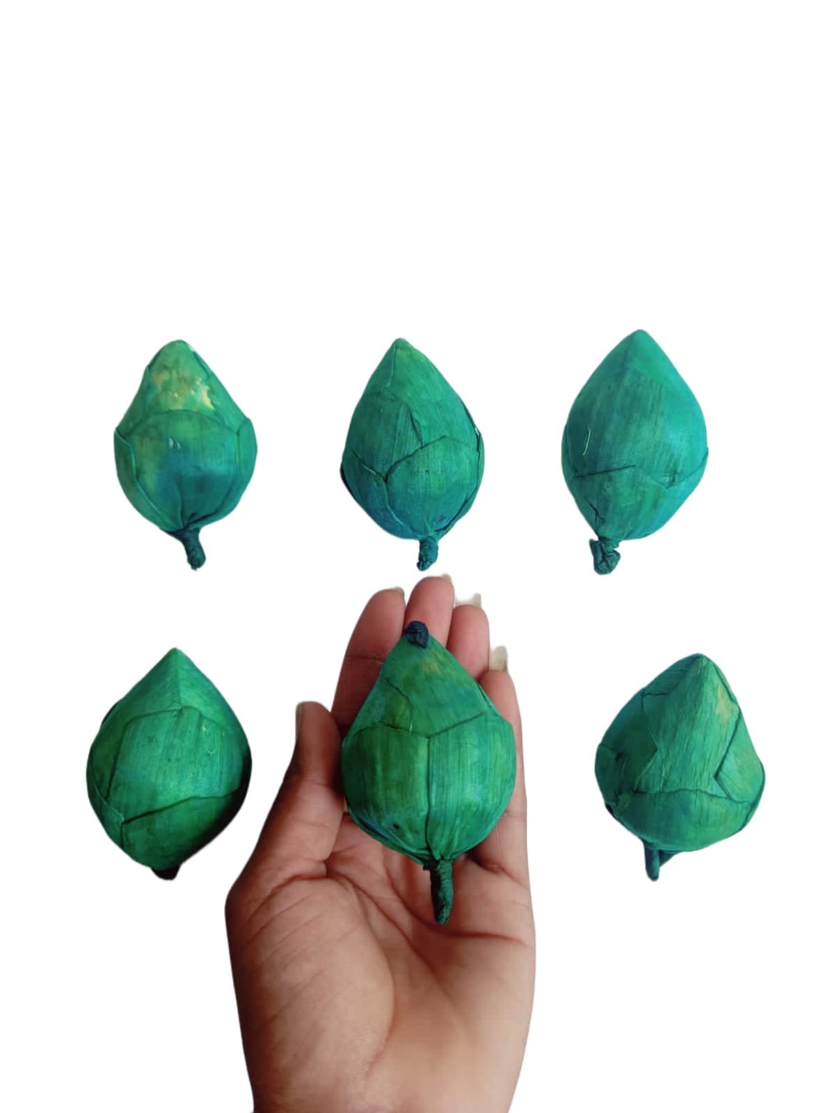 Lotus Buds (Green) - 10pcs