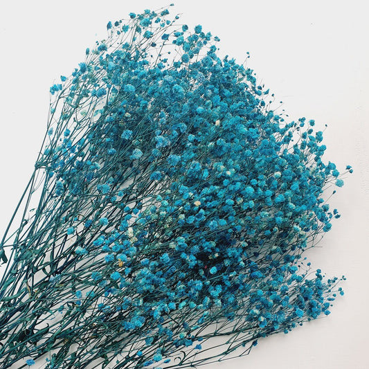 Baby Breath (Blue)