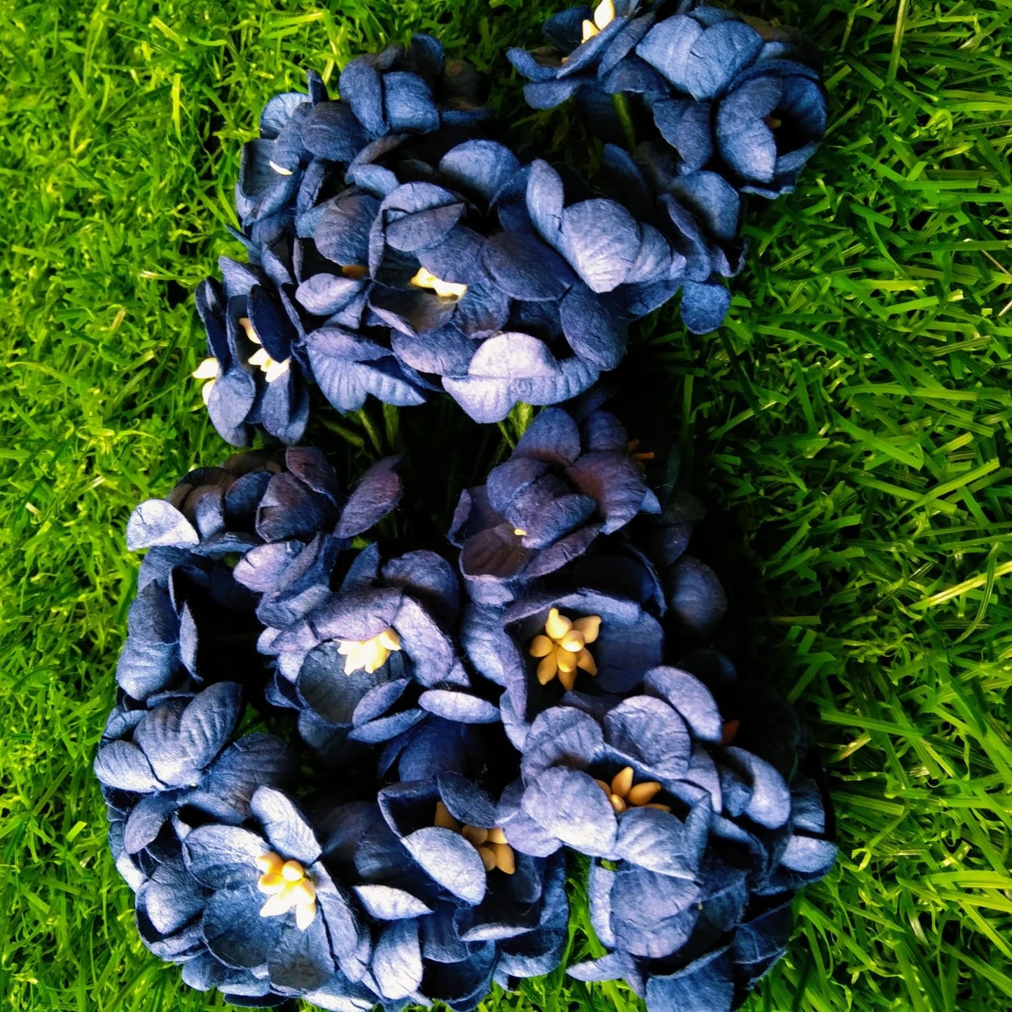 Mulberry Flower