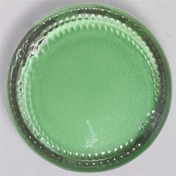 Pastel Green Opaque Resin Pigment 20 Gram