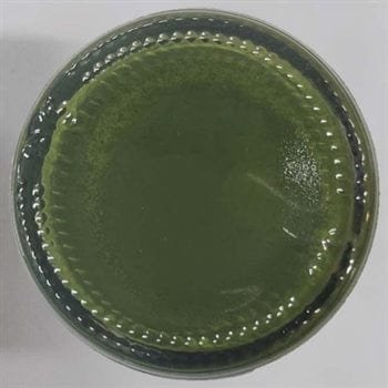 Olive Green Opaque Resin Pigment 20 Gram
