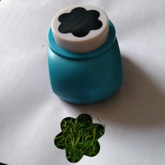 Flower Punch
