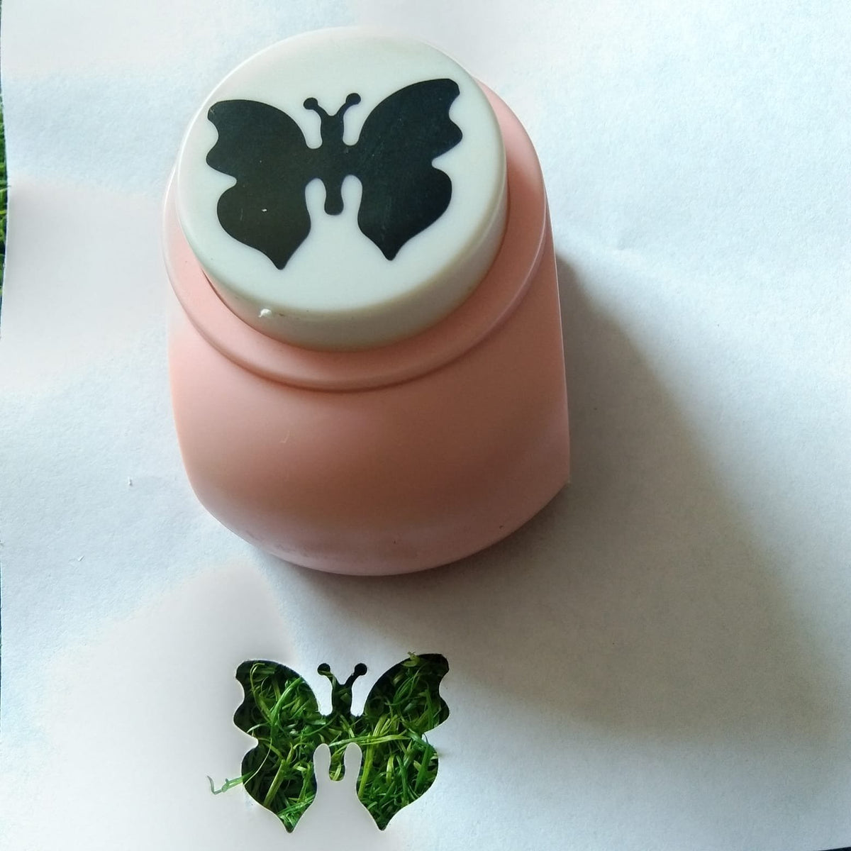 Butterfly Punch